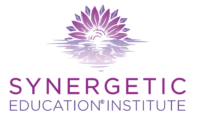 Synergetic Education Institute